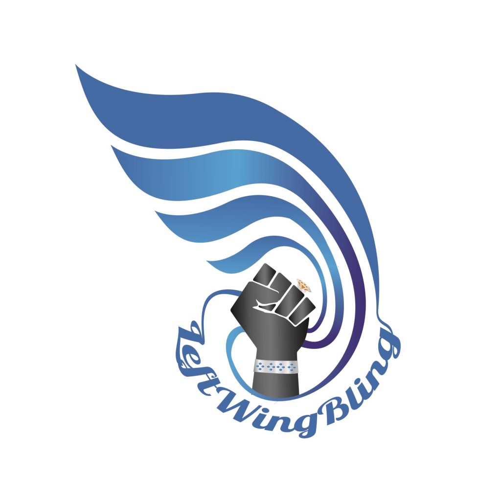 Left Wing Bling cover image